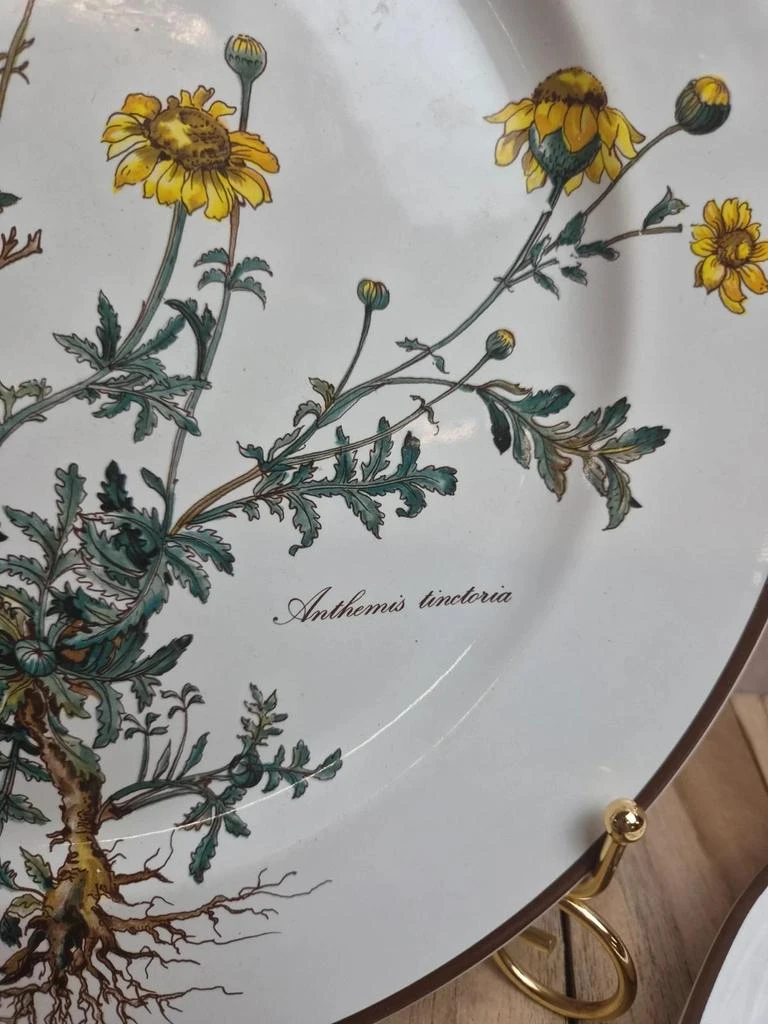 Lot of 2 plates Villeroy & Boch Botanica – glass-porcelain – Luxembourg – photo 3